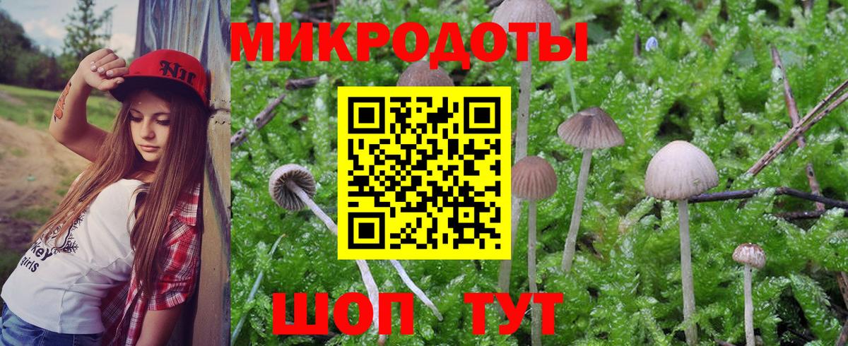 Псилоцибиновые грибы Magic Shrooms Астрахань