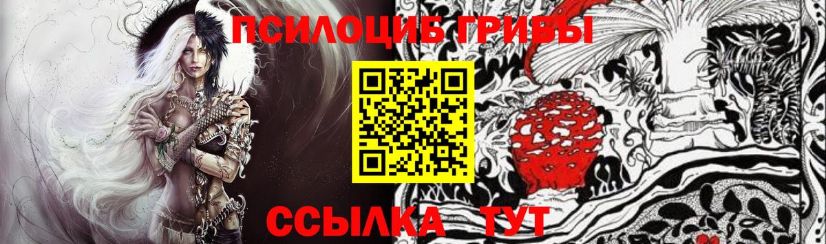 Астрахань  Галлюциногенные грибы мухоморы  Галлюциногенные грибы ЛСД  Вход с VPN 